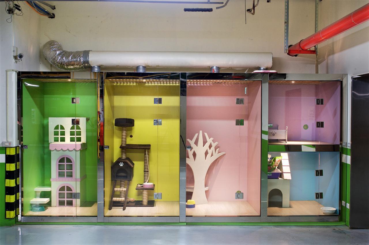 Chihpen Century Hotel Wenquan Exterior photo The cat hotel